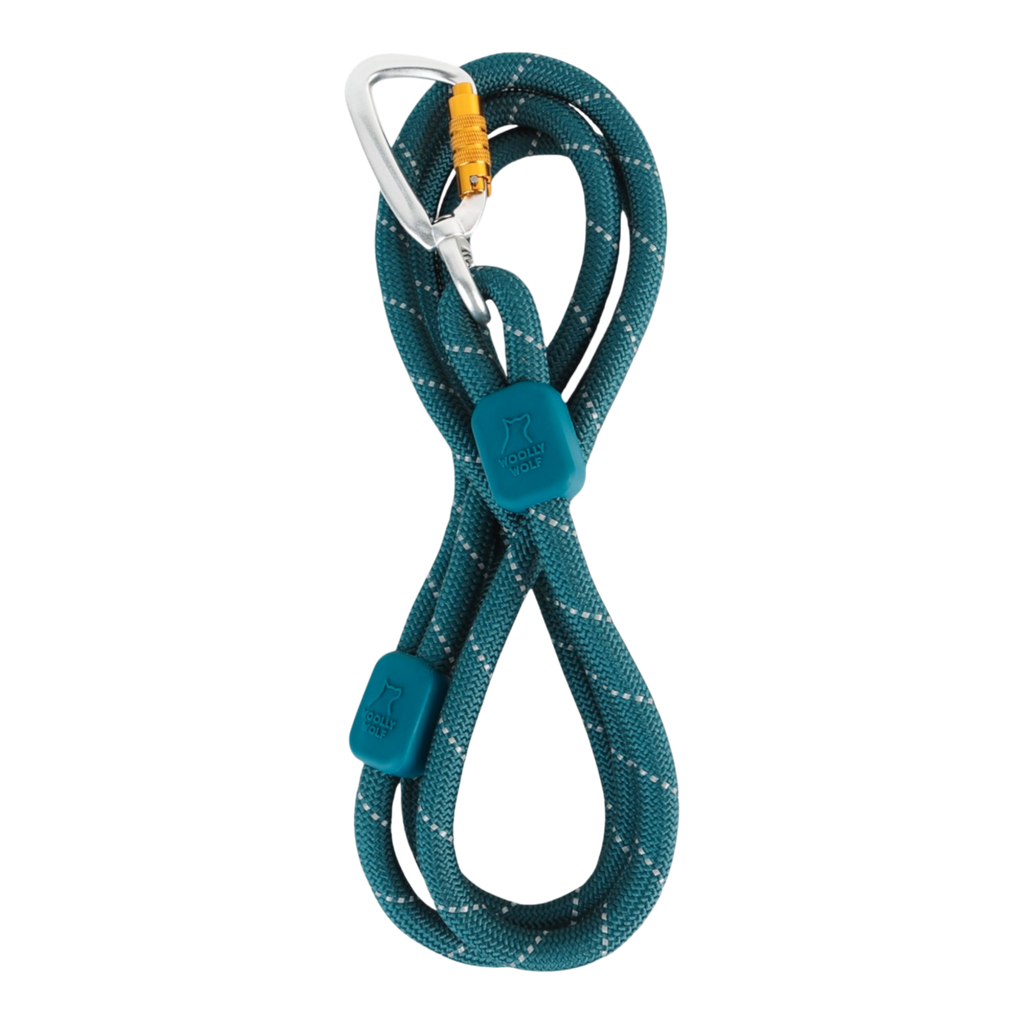 Woolly Wolf Rope Dog Leash Deep Teal