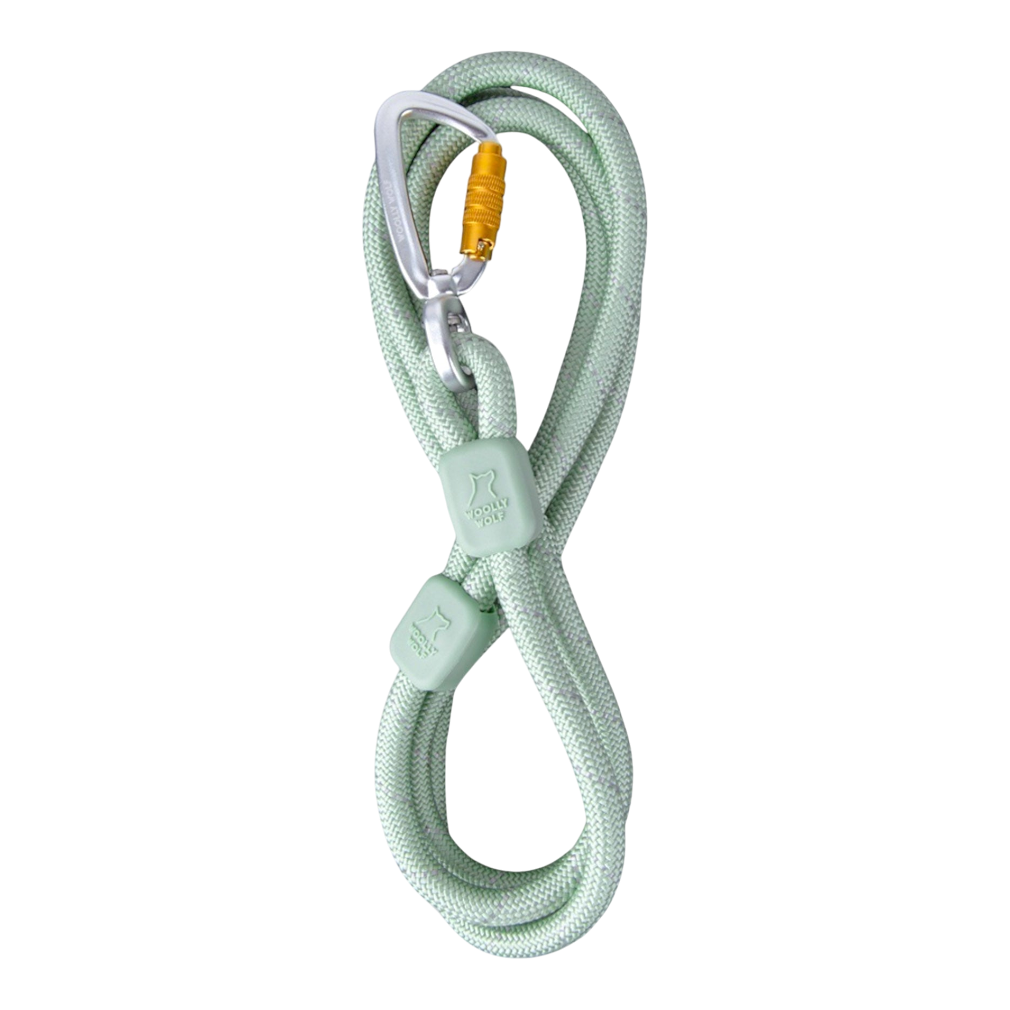 Woolly Wolf Rope Dog Leash Glacier Green