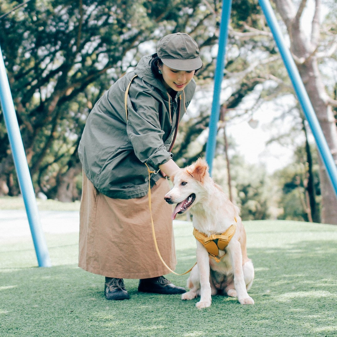 Explore dog leash Singapore - strong durable walking leash by Petizen - packaging