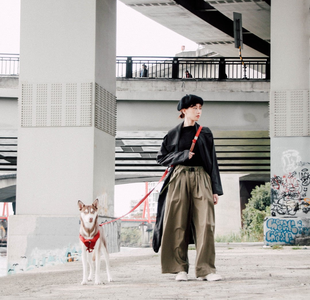 Explore dog leash Singapore - strong durable walking leash by Petizen - side view