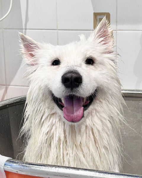Bath & Fluff