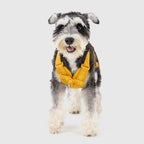 Explore dog harness Singapore - adjustable no-pull harness by Petizen - lifestyle