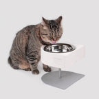 NON-ANTS Bowl (High) - Black Singapore - elevated ant-proof pet feeding bowl by Petizen - detail view