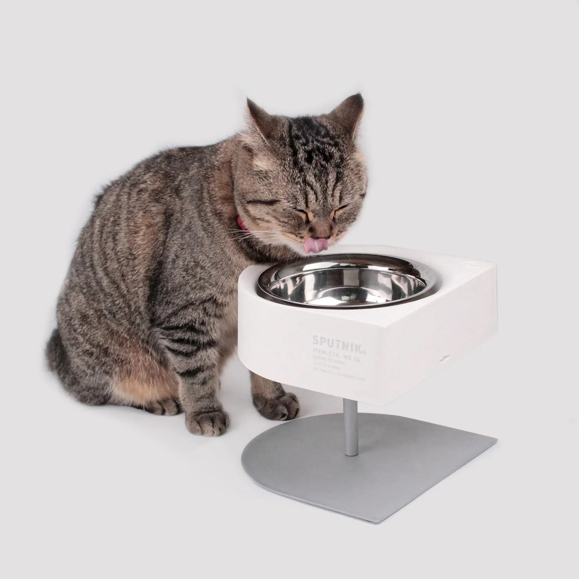 NON-ANTS Bowl (High) - Black Singapore - elevated ant-proof pet feeding bowl by Petizen - detail view