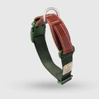Explore dog collar Singapore - adjustable pet collar by Petizen - colour options