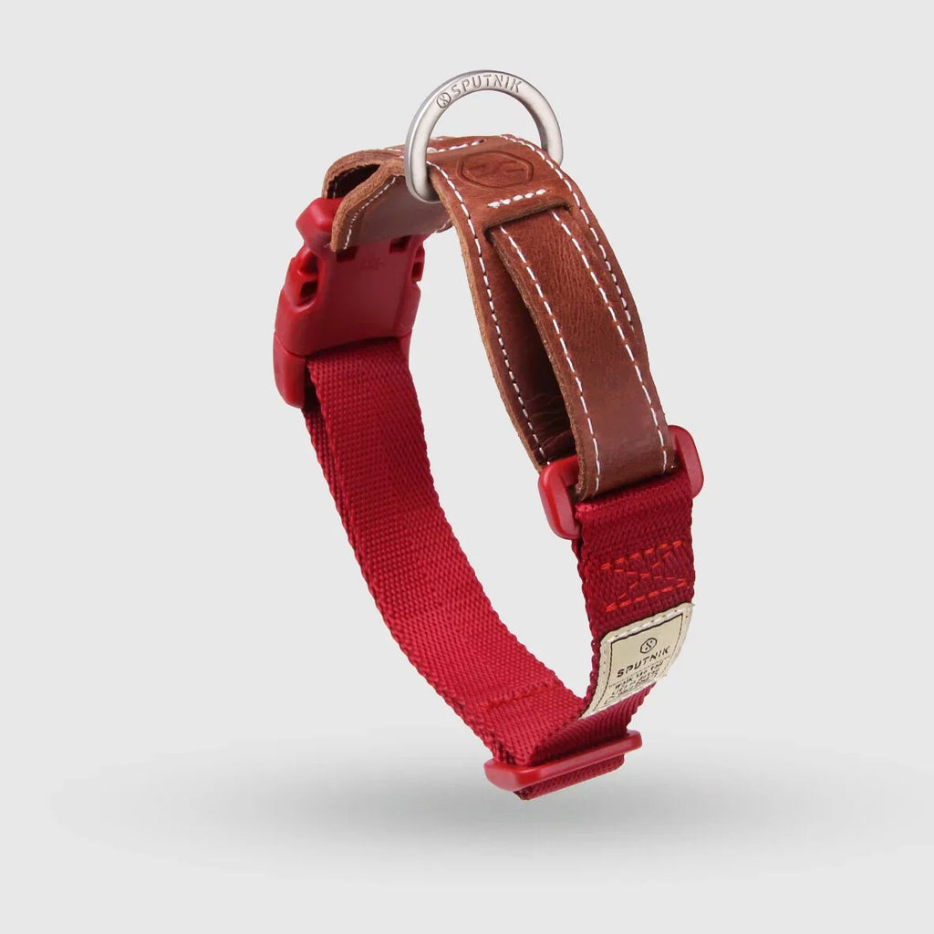 Explore dog collar Singapore - adjustable pet collar by Petizen