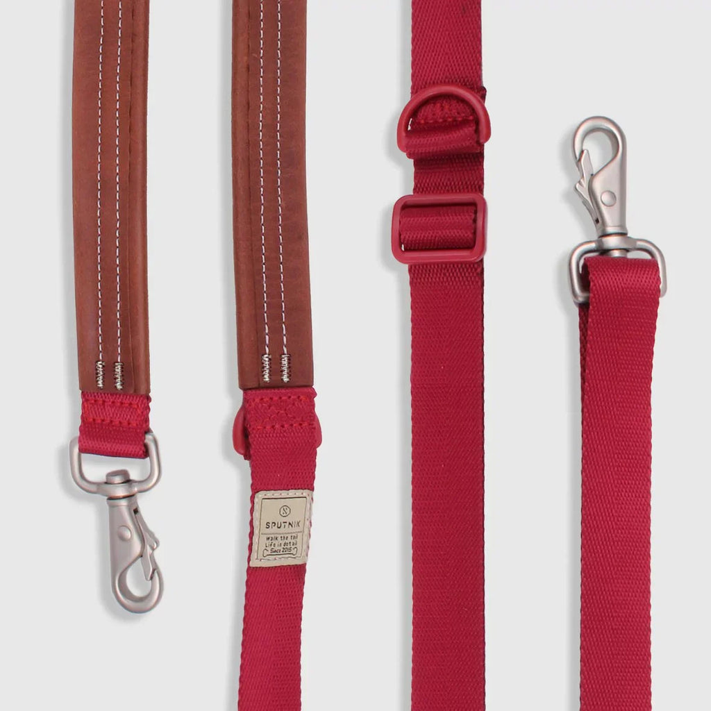 Explore dog leash Singapore - strong durable walking leash by Petizen - lifestyle
