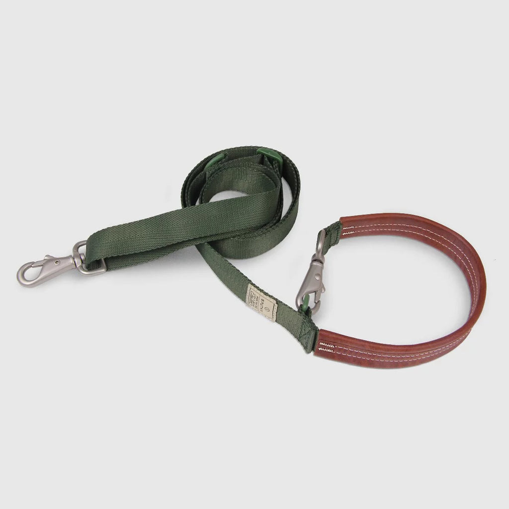 Explore - Leash