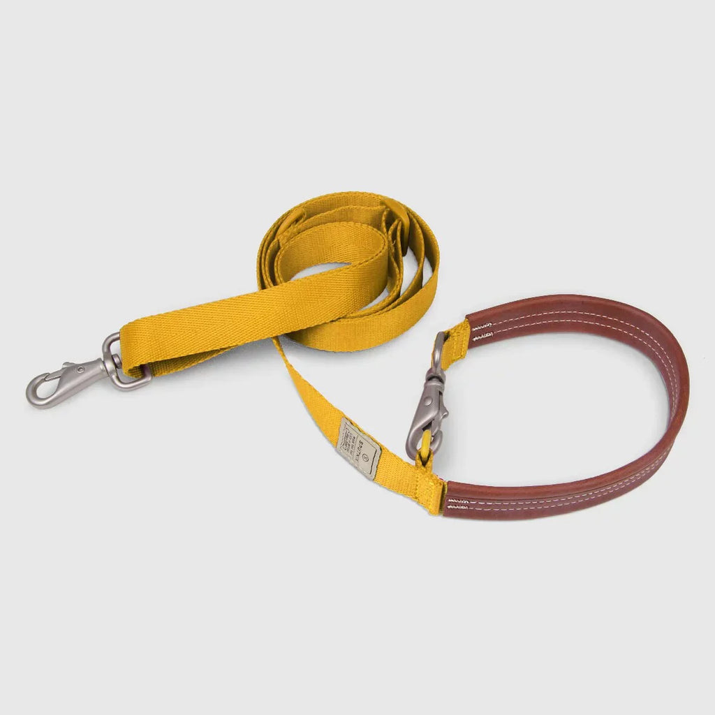 Explore dog leash Singapore - strong durable walking leash by Petizen - colour options