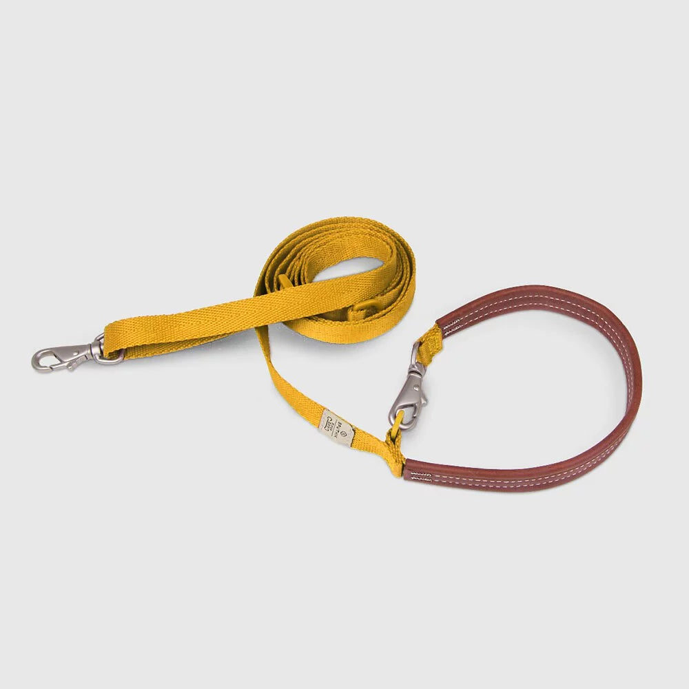 Explore dog leash Singapore - strong durable walking leash by Petizen - in use