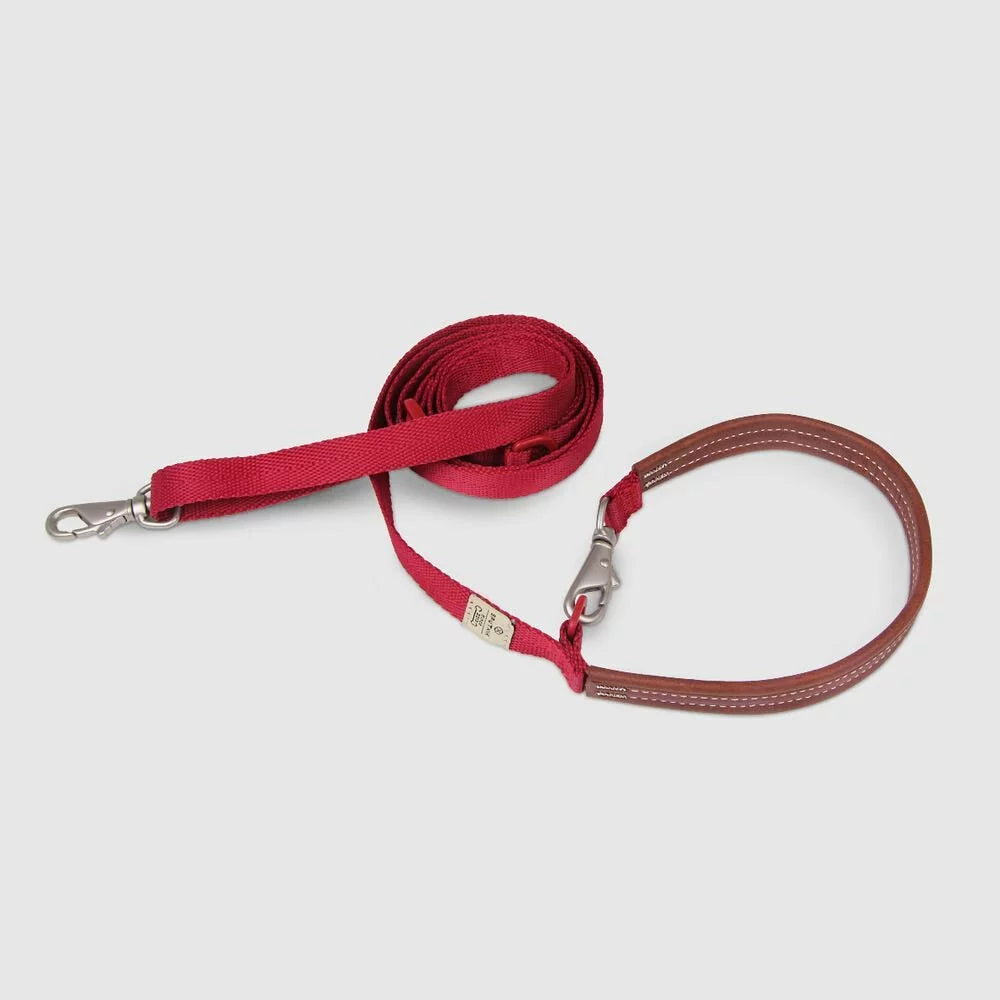 Explore dog leash Singapore - strong durable walking leash by Petizen