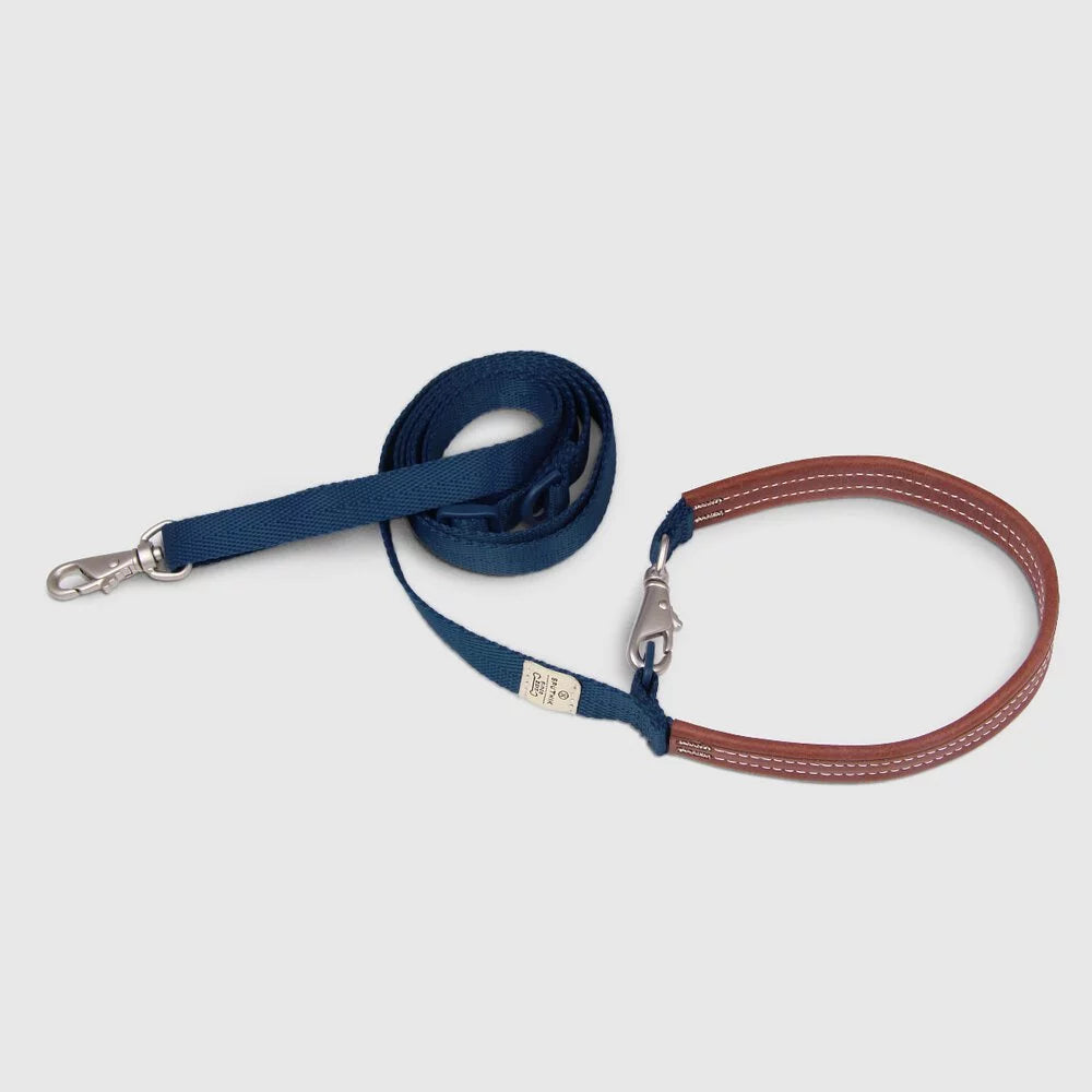 Explore dog leash Singapore - strong durable walking leash by Petizen - product overview