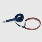 Explore dog leash Singapore - strong durable walking leash by Petizen - product overview
