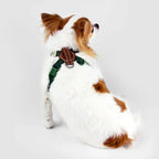 Explore dog harness Singapore - adjustable no-pull harness by Petizen - size comparison