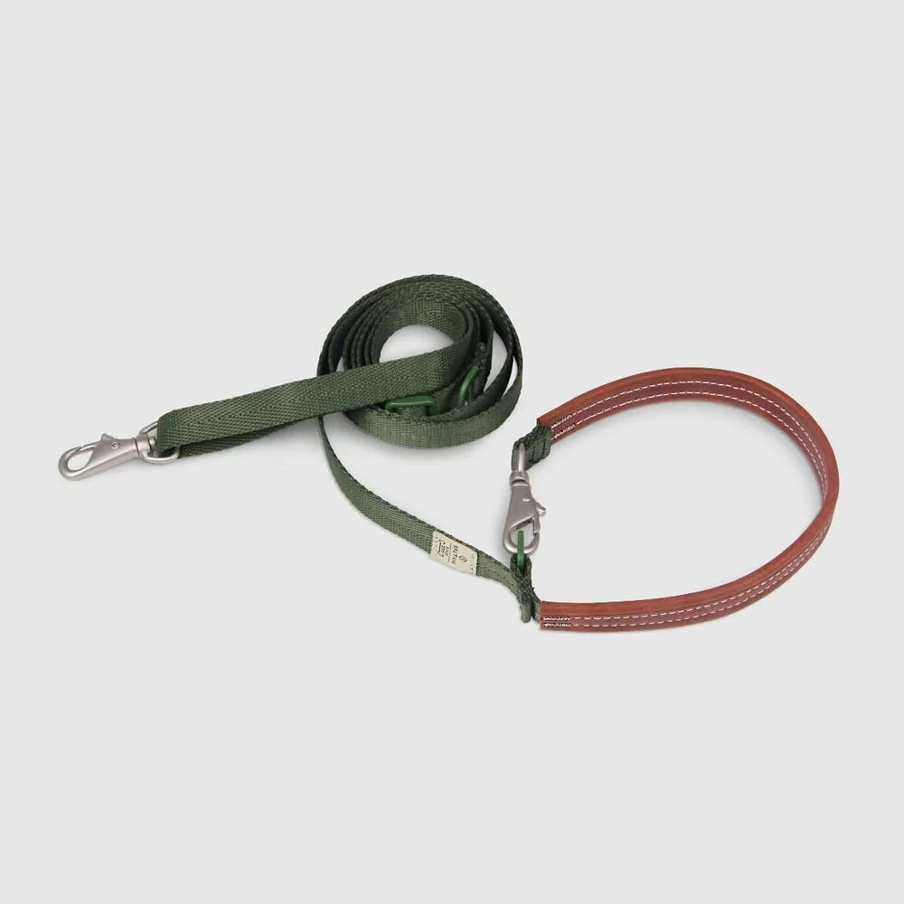 Explore - Leash