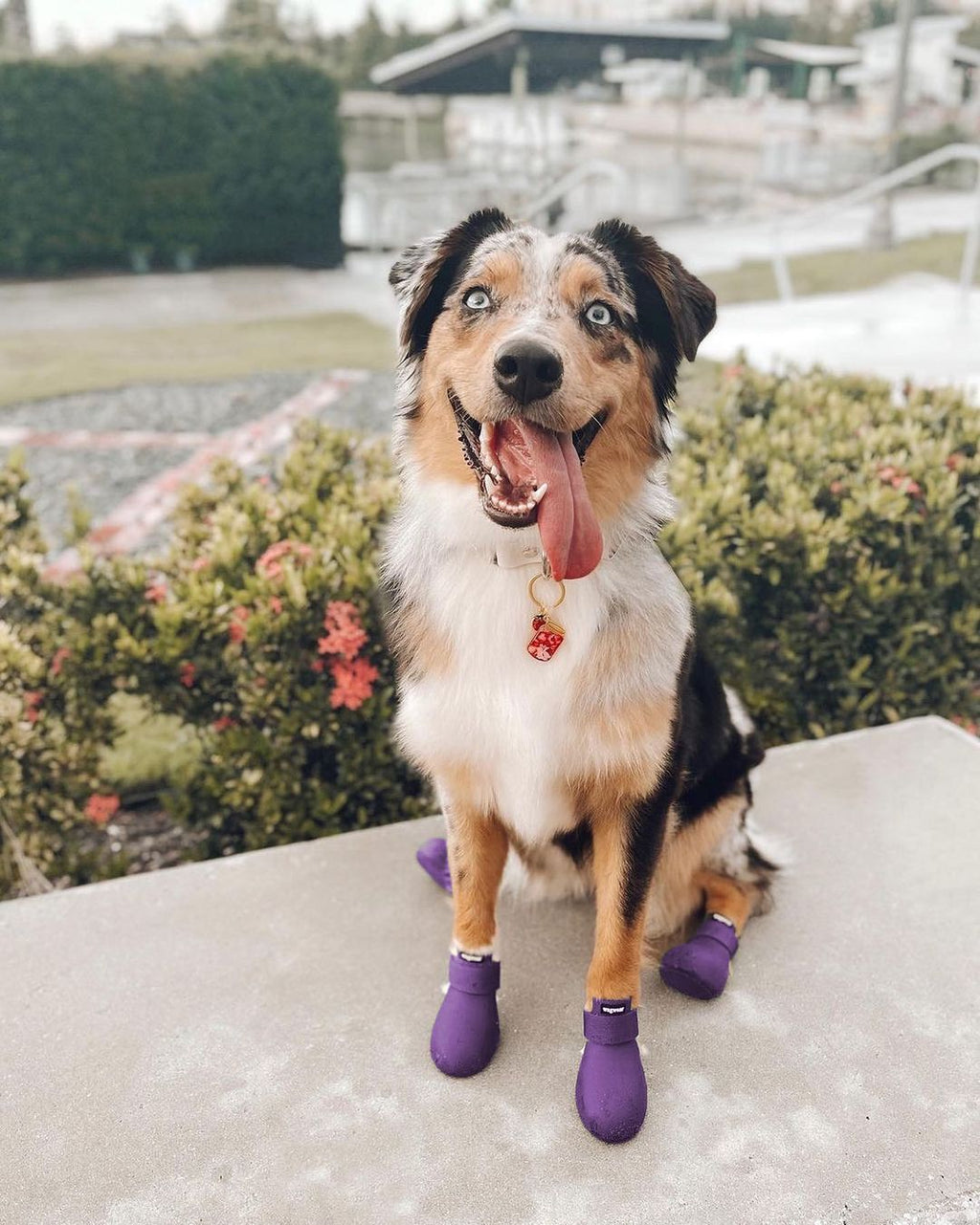 Wagwear Dog Boots - WagWellies™ (1 pair of 2)