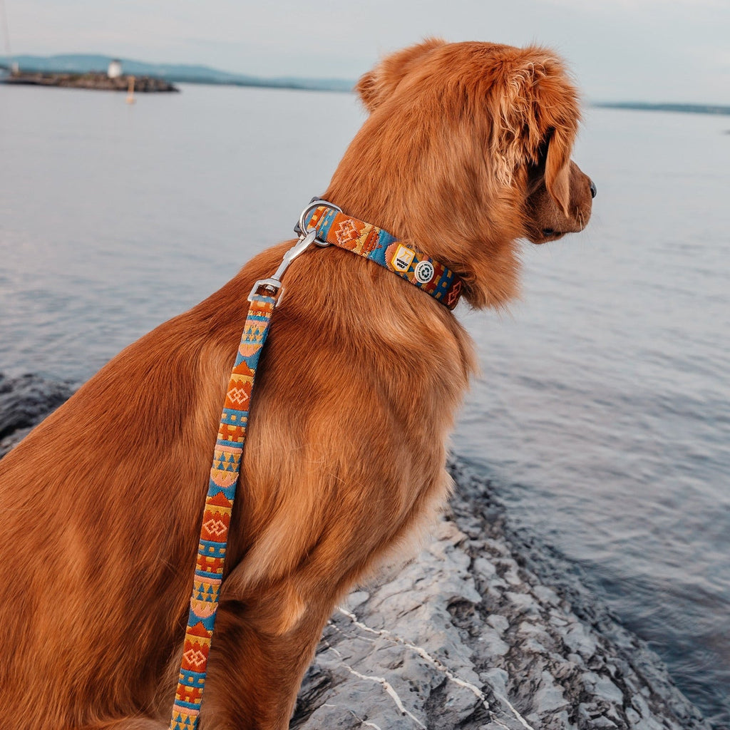 Woolly Wolf Nightless Night Dog Leash