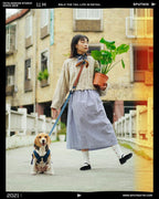 Explore dog leash Singapore - strong durable walking leash by Petizen - features