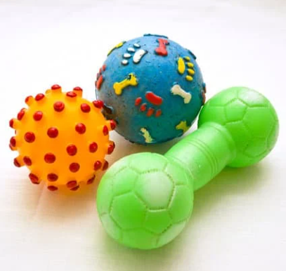 Pet toys for dogs and cats Singapore - interactive play toys at Petizen