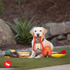 P.L.A.Y. Camp Corbin outdoor adventure dog plush toy collection Singapore - side view