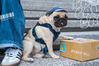 Nylon Baseball Pet Cap