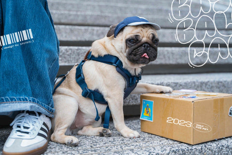 Nylon Baseball Pet Cap