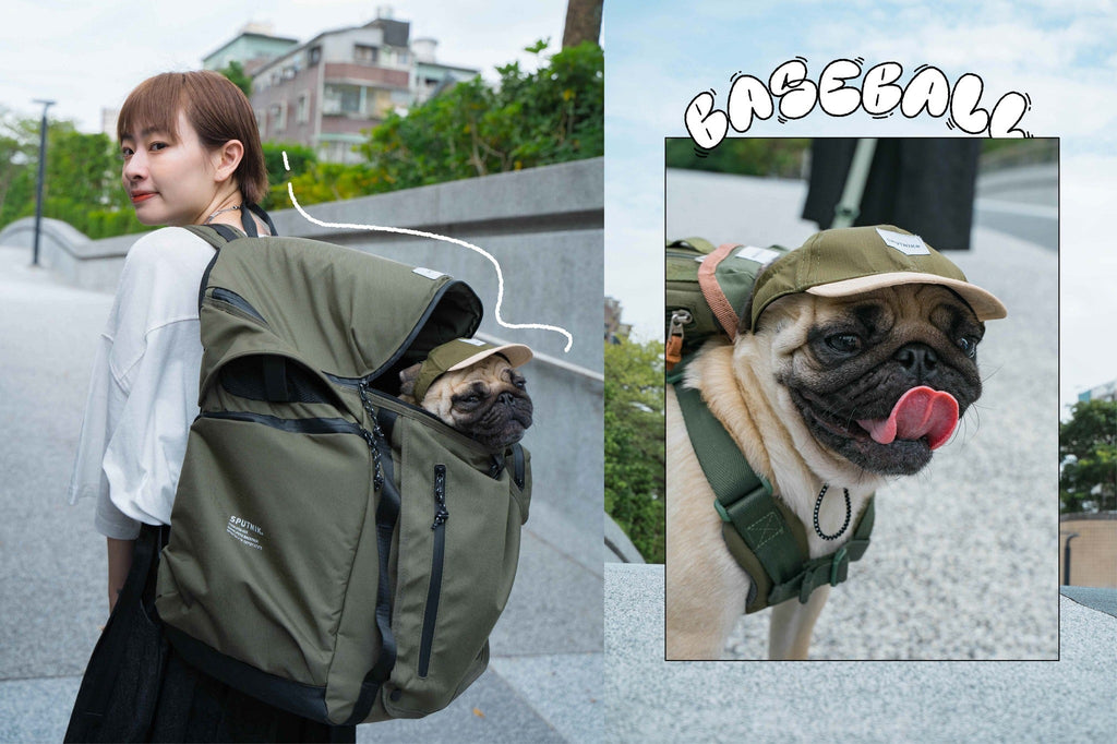 Nylon Baseball Pet Cap