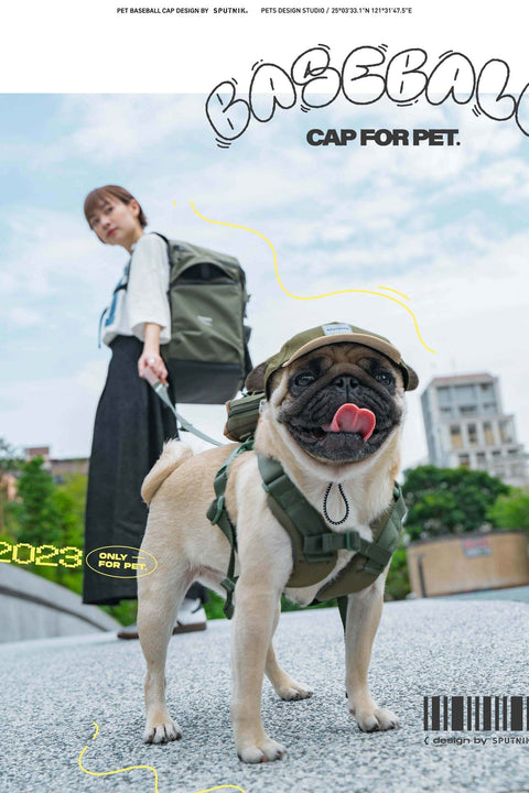 Nylon Baseball Pet Cap