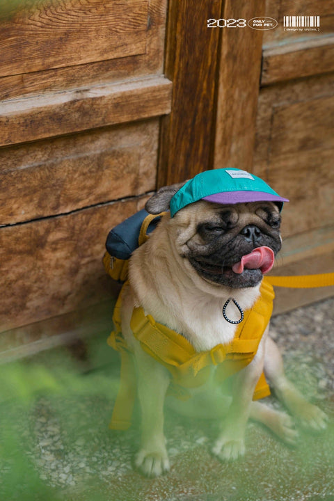 Nylon Baseball Pet Cap