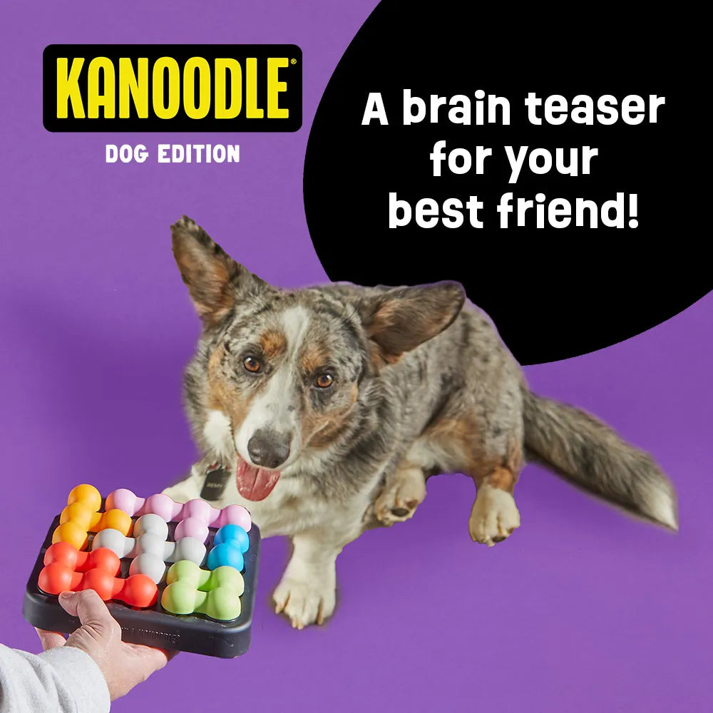Kanoodle Dog Edition Small treat puzzle toy Singapore by Brightkins - detail view