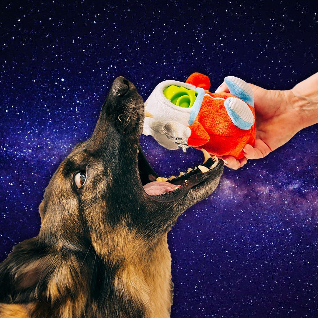 P.L.A.Y. Alien Buddies dog plush toy collection Singapore - space squeaky toys - side view