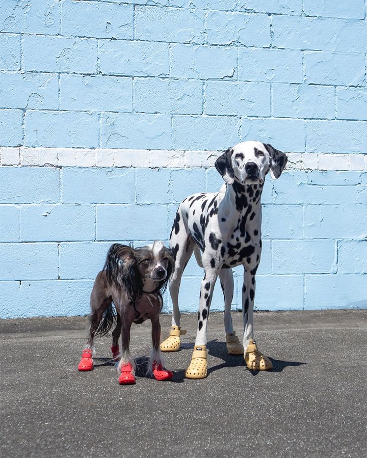 Wagwear WagWellies Mojave dog boots Singapore - protective paw boots for hot ground - side view