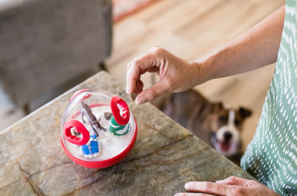 Dog enrichment wobble ball treat dispenser toy Singapore by Brightkins - detail view