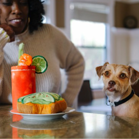 Barking Brunch Collection - Petisan