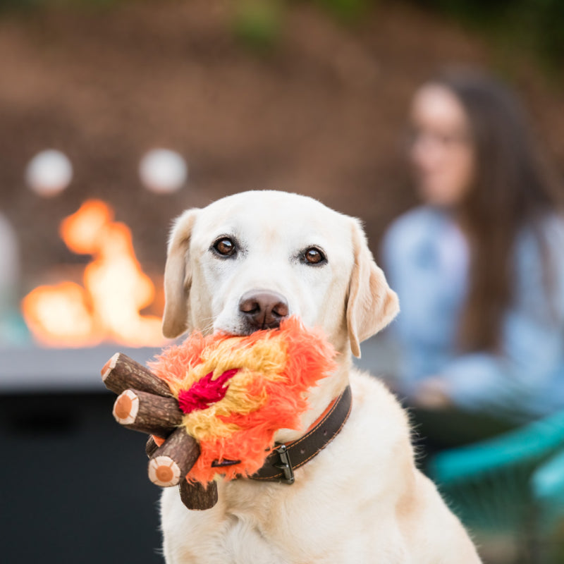 P.L.A.Y. Camp Corbin outdoor adventure dog plush toy collection Singapore - detail view