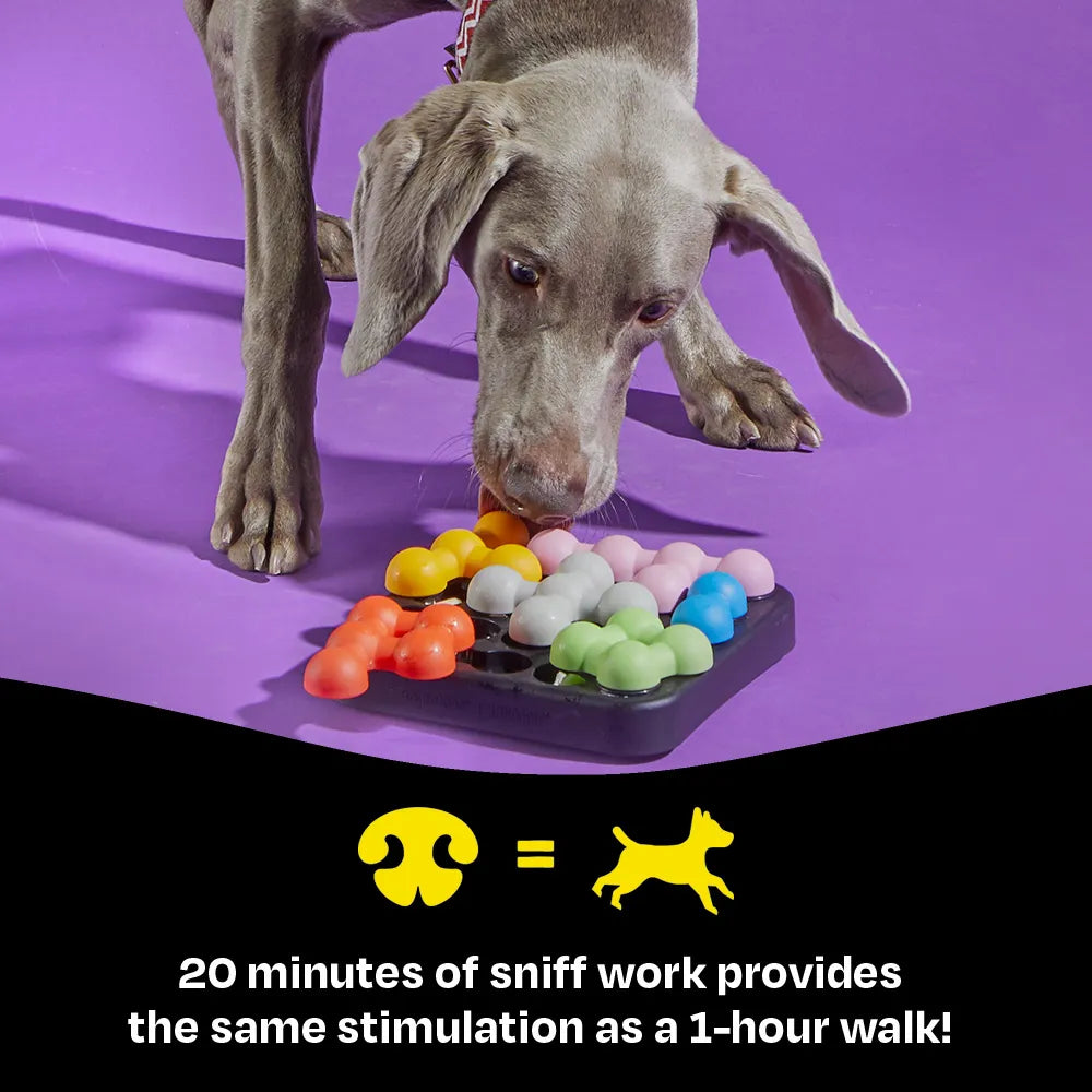 Kanoodle Dog Edition Small treat puzzle toy Singapore by Brightkins - packaging