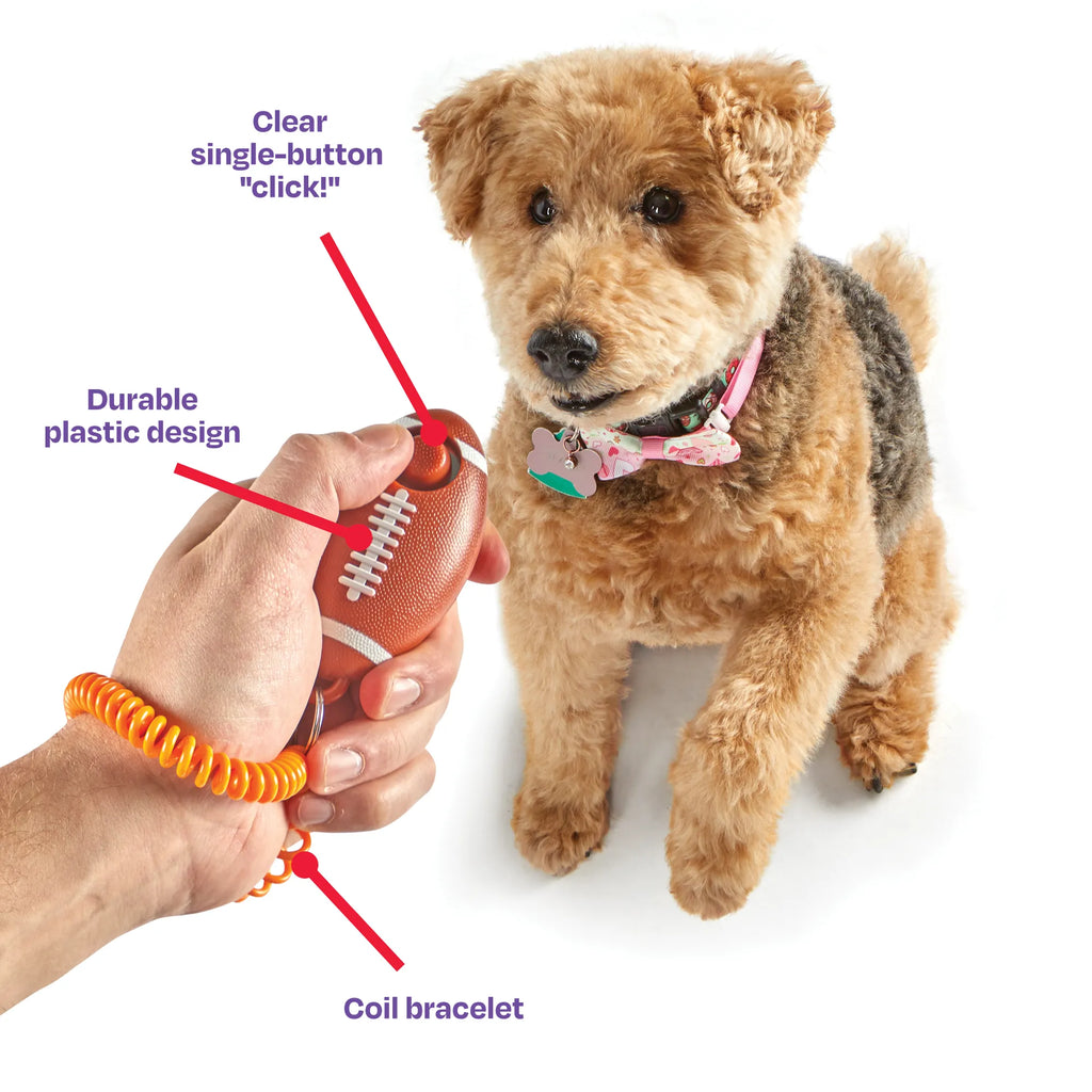 Smarty Pooch dog training clicker Singapore - obedience training tool - lifestyle