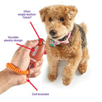 Smarty Pooch dog training clicker Singapore - obedience training tool - lifestyle