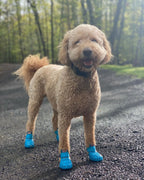 Wagwear WagWellies Mojave dog boots Singapore - protective paw boots for hot ground - product overview