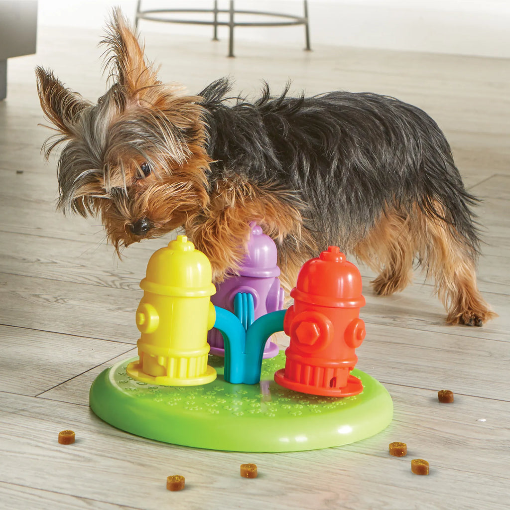 Spinning Hydrants dog treat puzzle enrichment toy Singapore by Brightkins - lifestyle