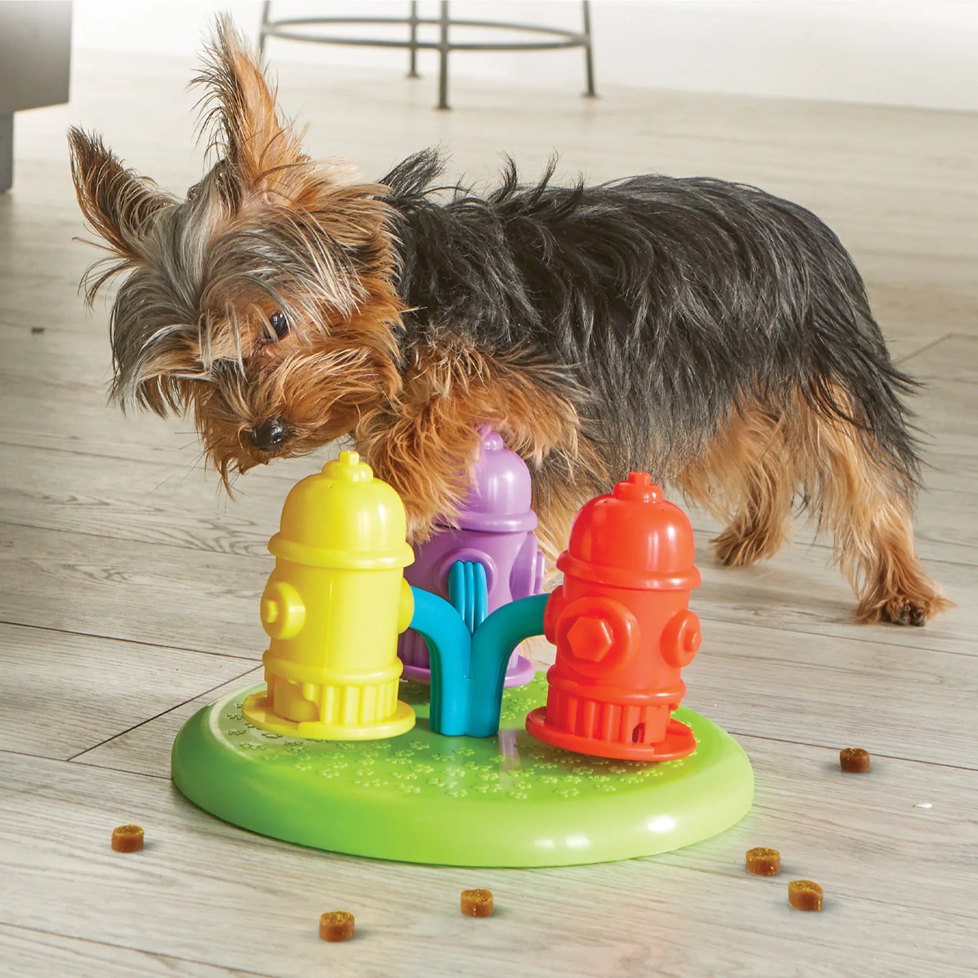 Spinning Hydrants dog treat puzzle enrichment toy Singapore by Brightkins - lifestyle