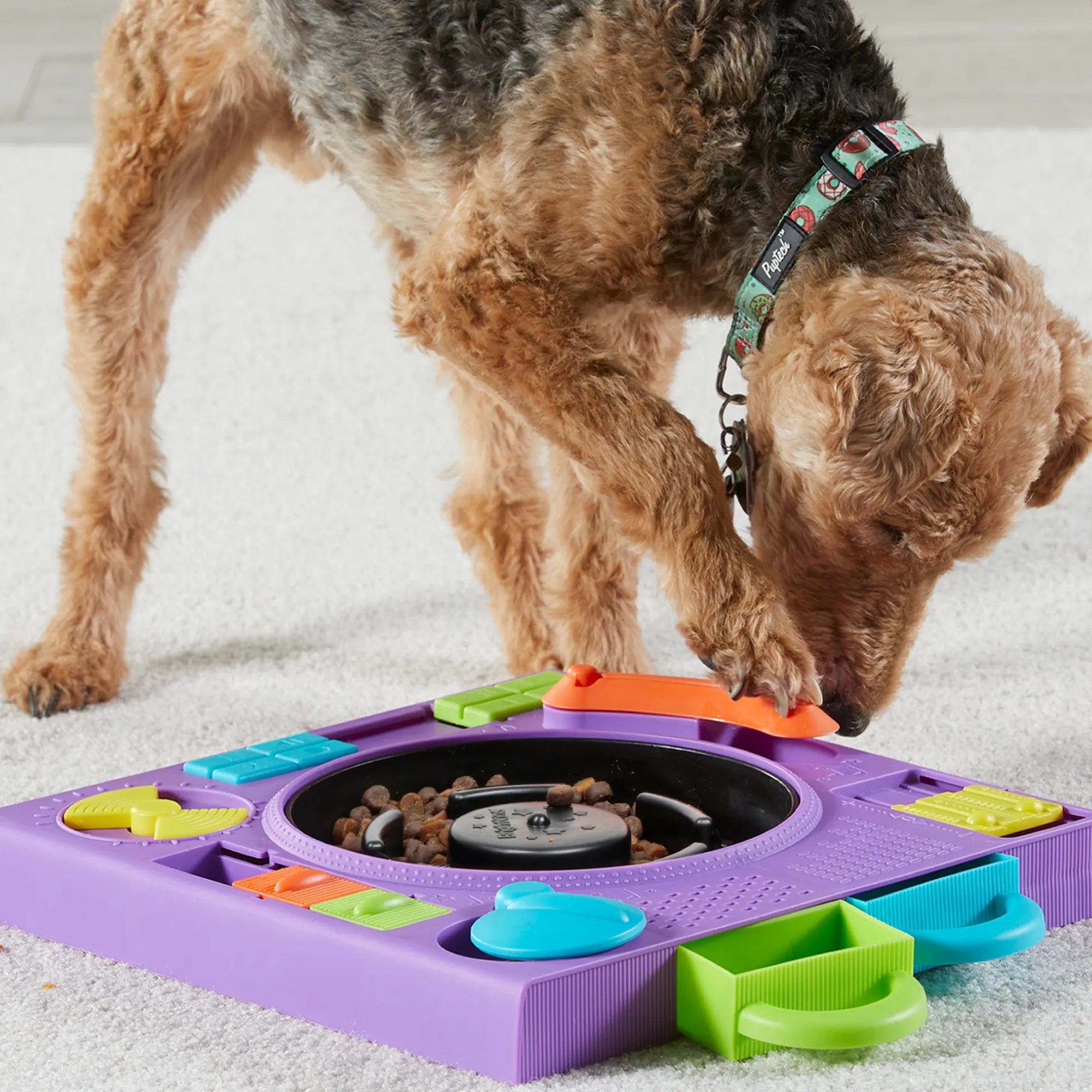 DJ Doggo dog puzzle feeder enrichment toy Singapore by Brightkins - packaging
