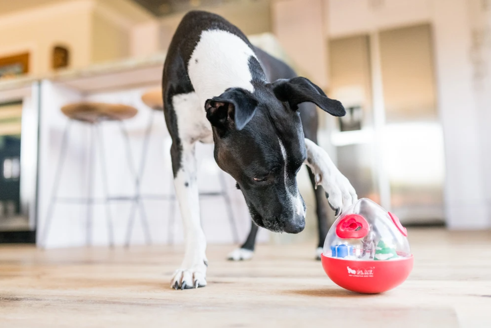 Dog enrichment wobble ball treat dispenser toy Singapore by Brightkins - side view