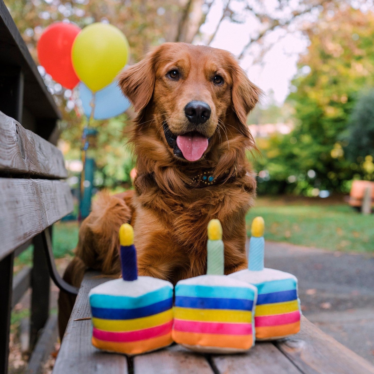 Dog Plush Toy - Party Time Collection