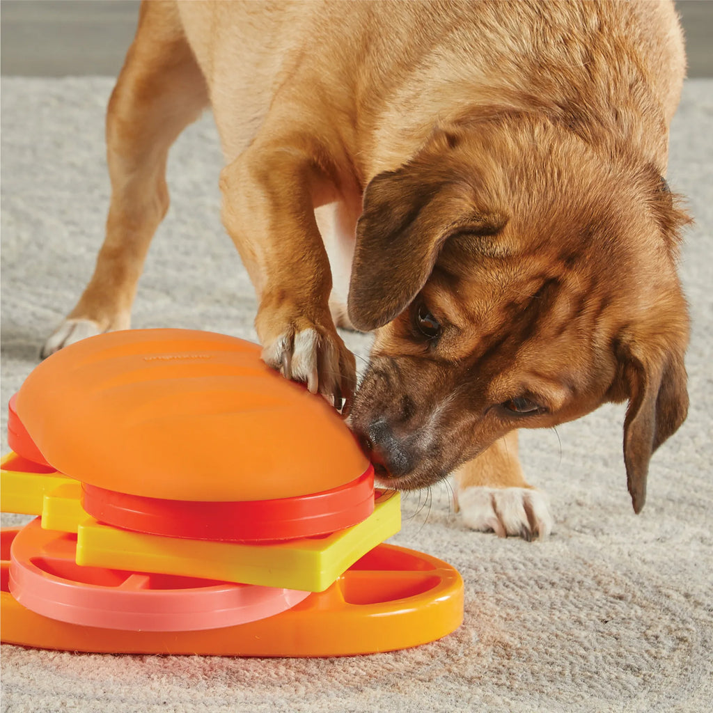 Pupstrami Surprise dog treat puzzle enrichment toy Singapore by Brightkins - packaging