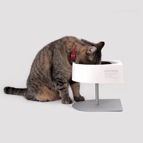 NON-ANTS Bowl (High) - White