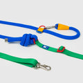 Petizen 10th Anniversary dog leash Singapore - limited edition walk gear