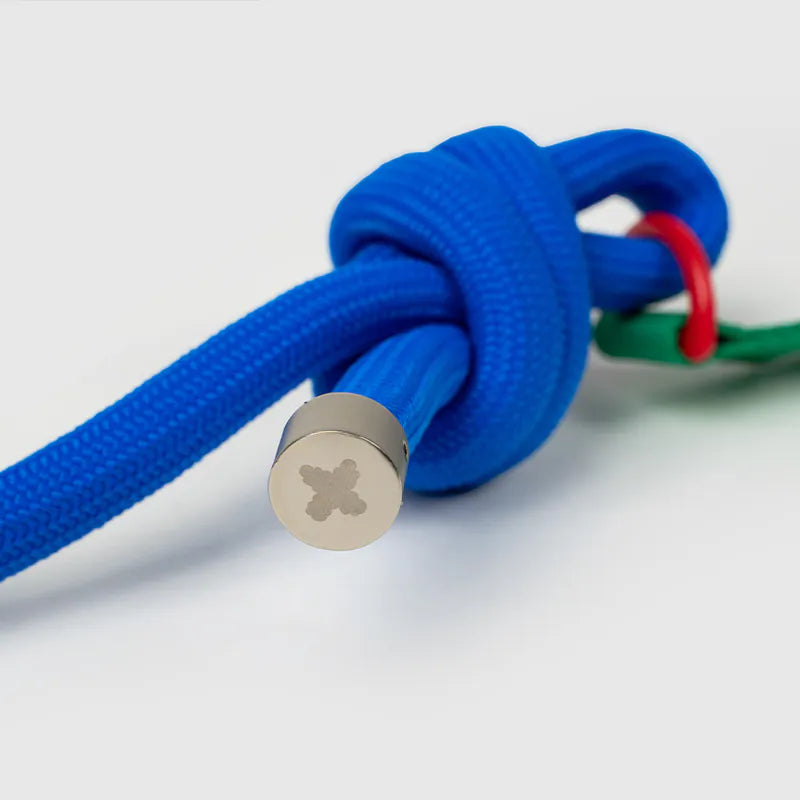 Petizen 10th Anniversary dog leash Singapore - limited edition walk gear - lifestyle