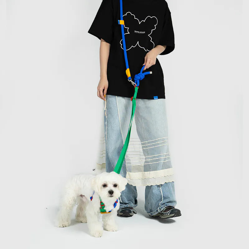 Petizen 10th Anniversary dog leash Singapore - limited edition walk gear - side view