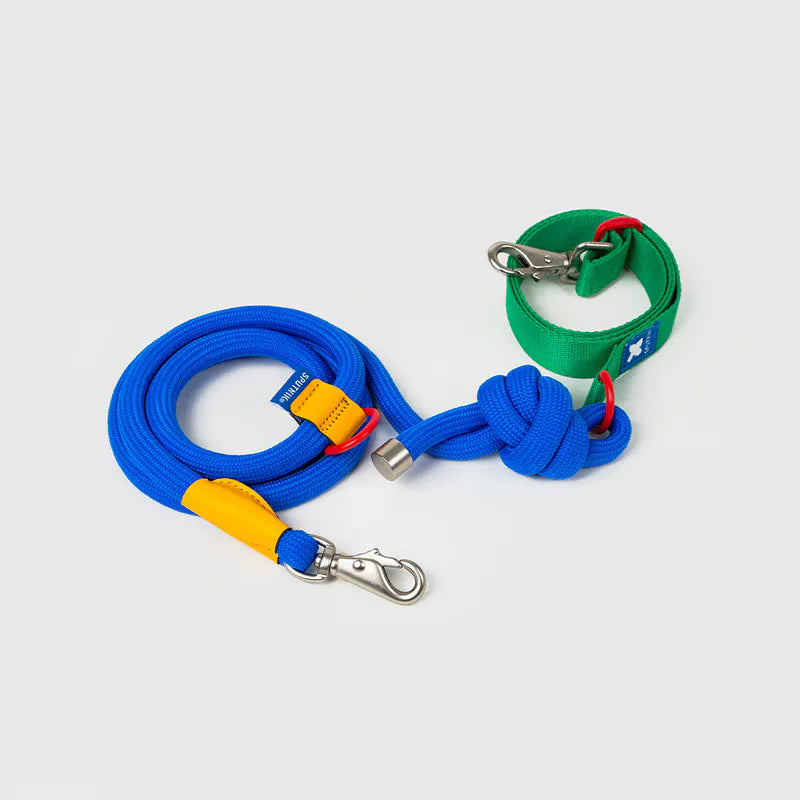 Petizen 10th Anniversary dog leash Singapore - limited edition walk gear - size comparison